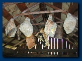 Cured hams in the smokehouse