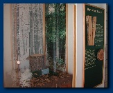 4H Nature Study Center