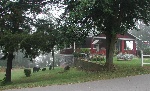 Asheville, NC is definitely bear country