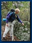 Nancy points to Lichen