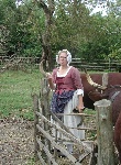 cow herd