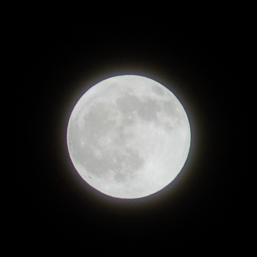 aSC_1372.jpg